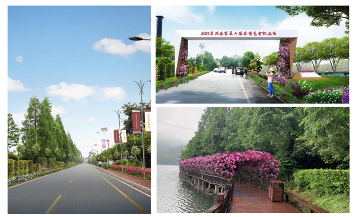 图片关键词 图片关键词