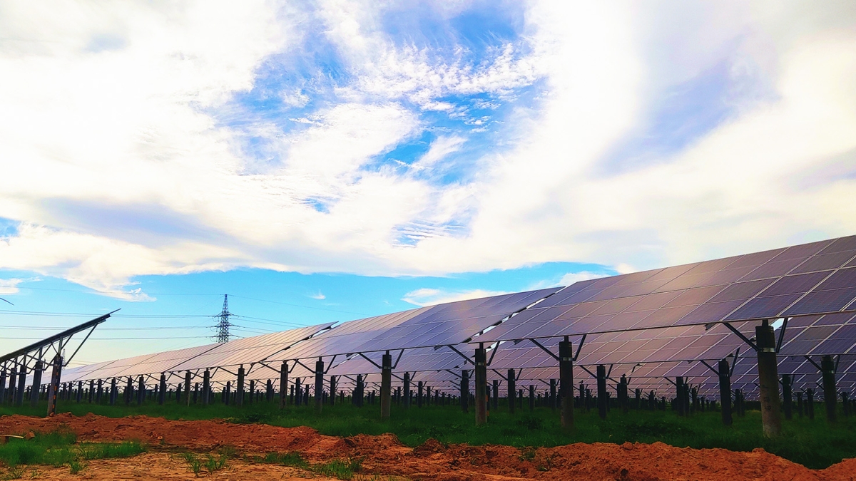 河北威县泽恩蔬菜种植有限公司雨养型节水高效蔬菜大棚 88MW 农光互补发电项目