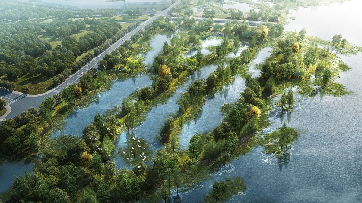 云南草海片区湖滨生态湿地修复建设工程