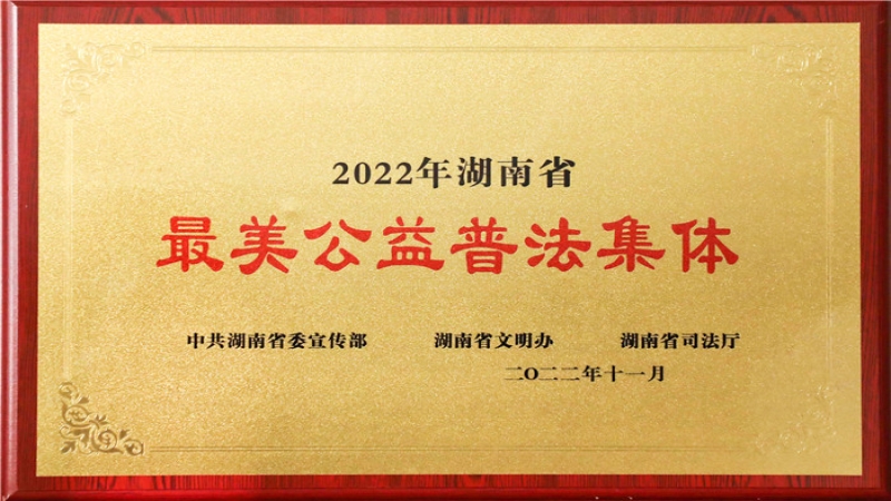 中机国际获评2022年“湖南省最美公益普法集体”
