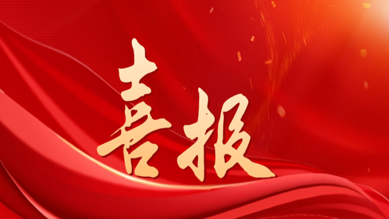 喜报！中机国际获评中央企业“双百行动”优秀企业